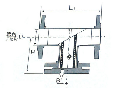 不銹鋼T型過濾器結構圖